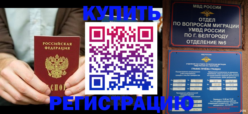 прописка 2025 в Сольцах